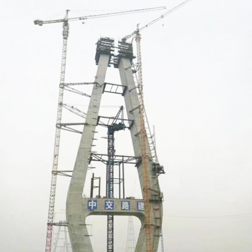 Ordinary tower crane