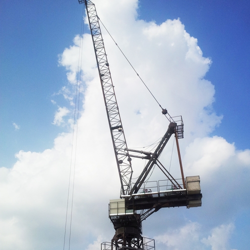 Derrick tower crane
