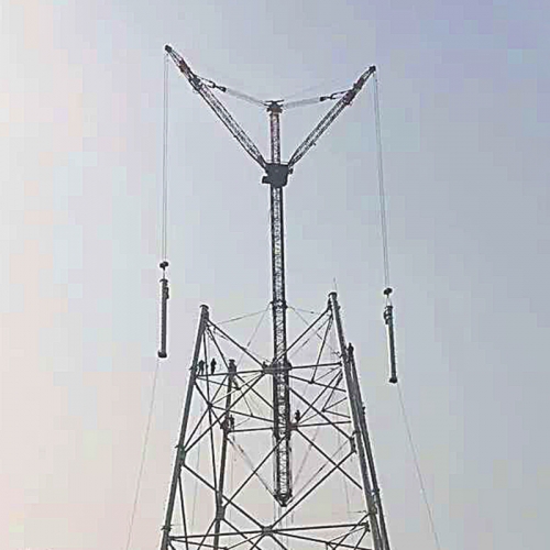 Electric power tower crane